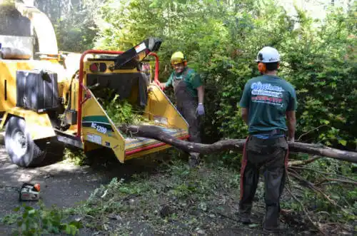 tree services Falkville